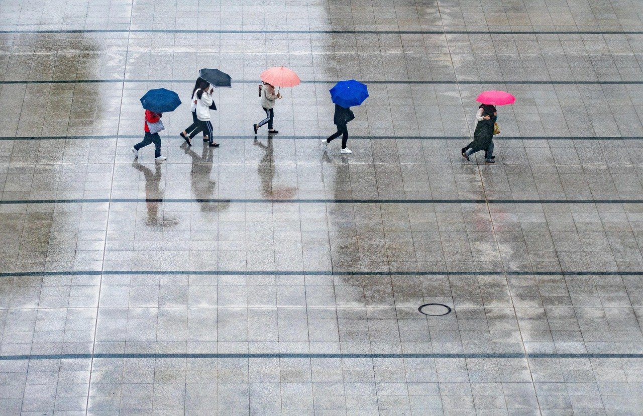rain, people, nature, umbrellas, wet, weather, thunderstorm